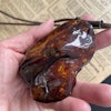 00% Natural Danish Amber Pendant Big Baltic amber 81 grams #1756