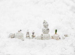 Snövättebarnens snöbollskruka från Cult design. Färg: Vit med grå och beige inslag.