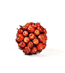 Äppelboll som även kan hängas. Färg Röd. Mått: Ca 11 cm i diameter.
