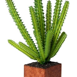 Euphorbia Törel en konstväxt från Cult design i grönt.