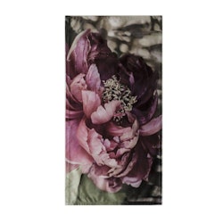 Jumi en löpare i sammet med ett digitaltryck med rosa blommor i gråa och gröna toner från Svanefors, mått 35 x 70 cm.