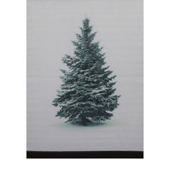 Gran en härlig julbonad, mått 60 x 110 cm, art,nr 9402-89-007. Färg: Vit med en gran i vinterskrud.