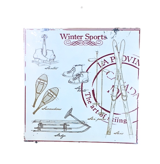 Winter sports en plåttavla i gammal stil med patina. Färg: Röd och vit.