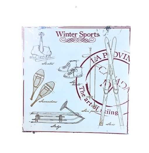Winter sports en plåttavla i gammal stil med patina. Färg: Röd och vit.