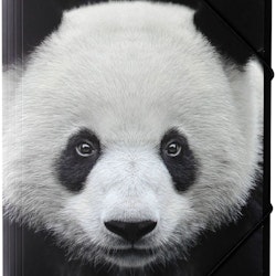 Panda en gummibandsmapp i A4 storlek med en panda i svart och vitt, från Hedlundgruppen, mappen är FSC godkänd.
