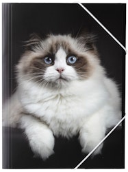 Ragdoll en gummibandsmapp i A4 storlek i svart och vitt med en söt katt, från Hedlundgruppen, mappen är FSC godkänd.