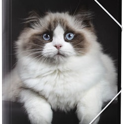 Ragdoll en gummibandsmapp i A4 storlek i svart och vitt med en söt katt, från Hedlundgruppen, mappen är FSC godkänd.