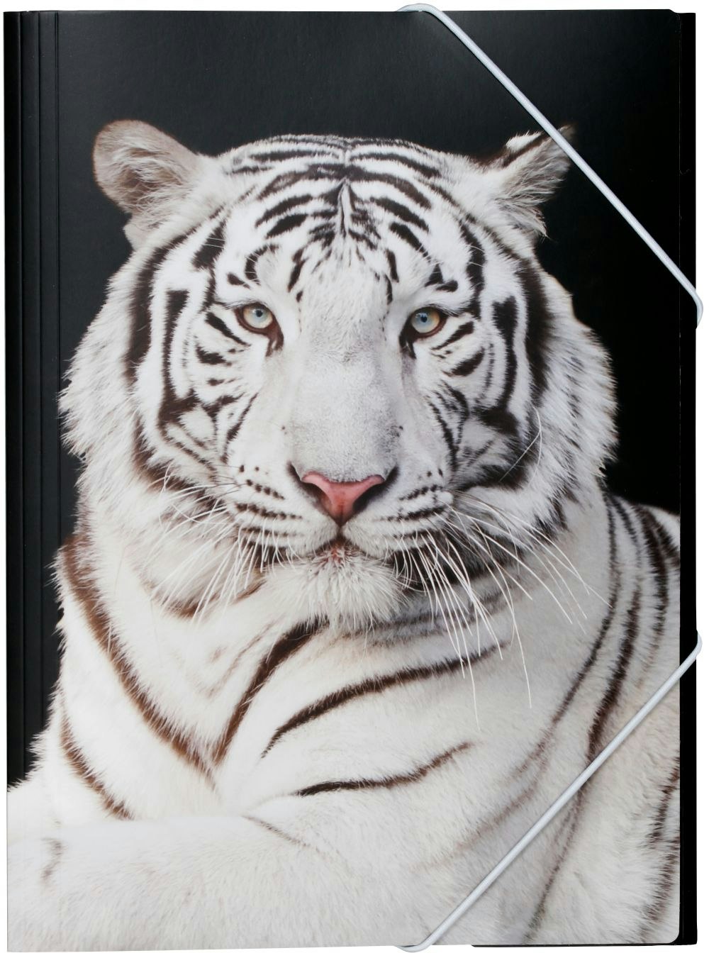 Tiger en gummibandsmapp i A4 storlek med en tiger i svart och vitt, från Hedlundgruppen, mappen är FSC godkänd.