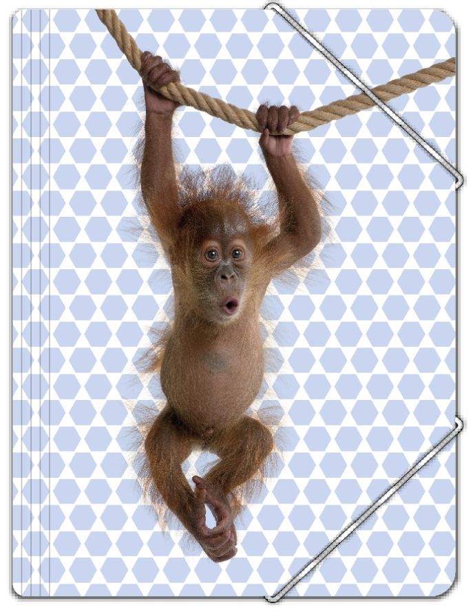 Orangutang en gummibandsmapp med med en söt orangutangunge och vita gummiband i A4 storlek från Hedlundgruppen, mappen är FSC godkänd.