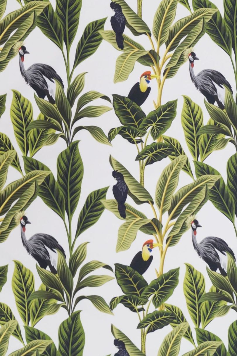 Birds ett gardintyg/inredningstyg på metervara från Redlunds textil. Färg: Vit botten med ett mönster av tropiska fåglar.