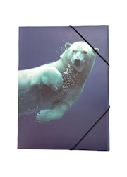 Isbjörn en gummibandsmapp med en dykande isbjörn i blå toner i A4 storlek från Hedlundgruppen, FSC godkänd.