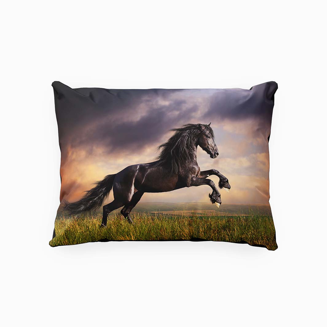 Wild Stallon ett örngott i bomullssatin med en svart häst med en solnedgång i bakgrunden i mått 50 x 60 cm, från Indusia design