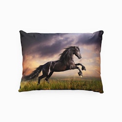 Wild stallion ett örngott i mått 70 x 100 cm i bomullssatin med en med en svart häst med en solnedgång i bakgrunden, från Indusia design