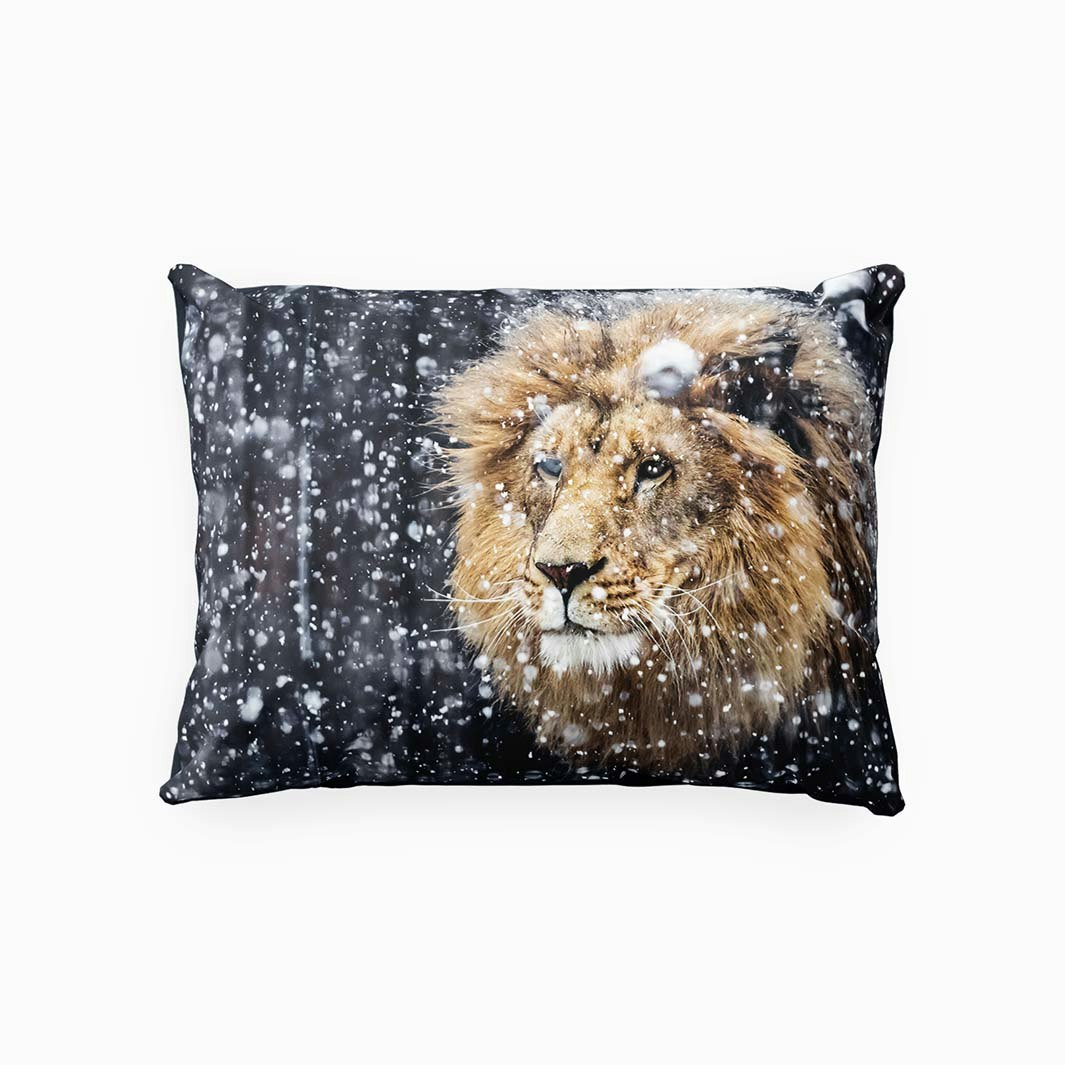 Lion ett örngott i mått 50 x 60 cm i bomullsflanell på svart botten med ett vackert lejon, från Indusia design