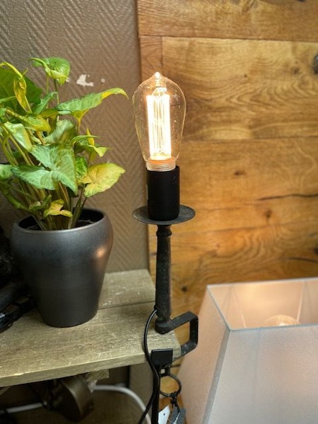 Lampa med Tvingfot