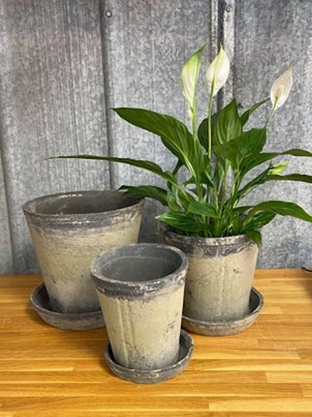 Grå Kruka med Patina