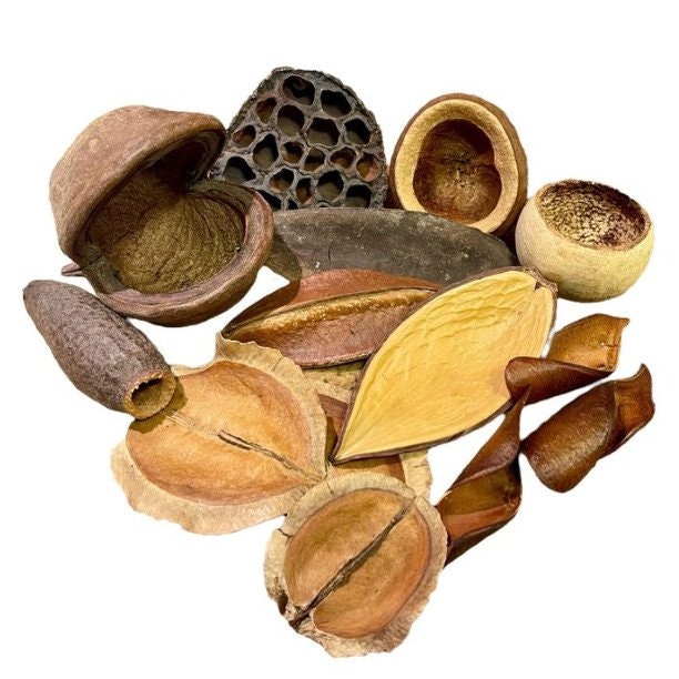 Naturprodukter - Akvarieimporten i Skåne AB