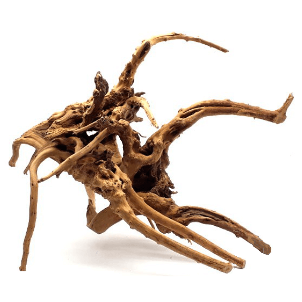 Driftwood trädrot - Small