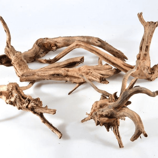 Driftwood trädrot - Small