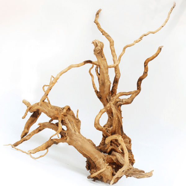 Driftwood trädrot - Medium