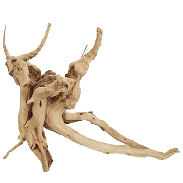 Driftwood trädrot - Medium