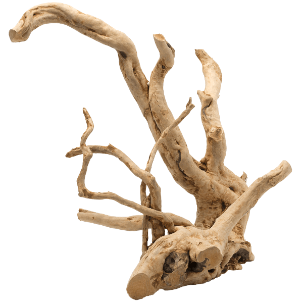 Driftwood trädrot - Medium