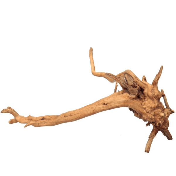 Driftwood trädrot - Large