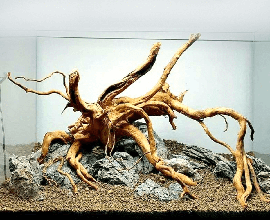 Driftwood trädrot - Large