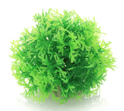 Mossboll Grön Stor - Taxiphyllum Barbieri