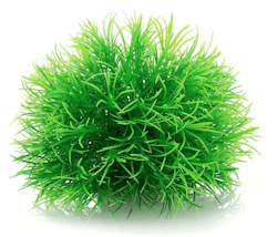 Mossboll Grön Liten - Taxiphyllum Alternans