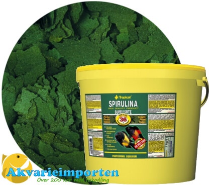 Super Spirulina Forte (36%) 5 liter A