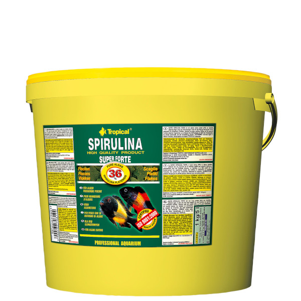 Super Spirulina Forte (36%) 5 liter