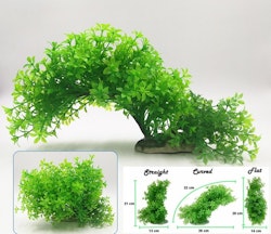 Plastväxt Bacopa 12-21 cm