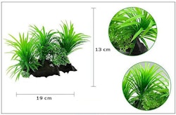 Plastväxt på rot Sagittaria 13 cm