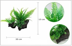 Plastväxt på rot Fern 15 cm