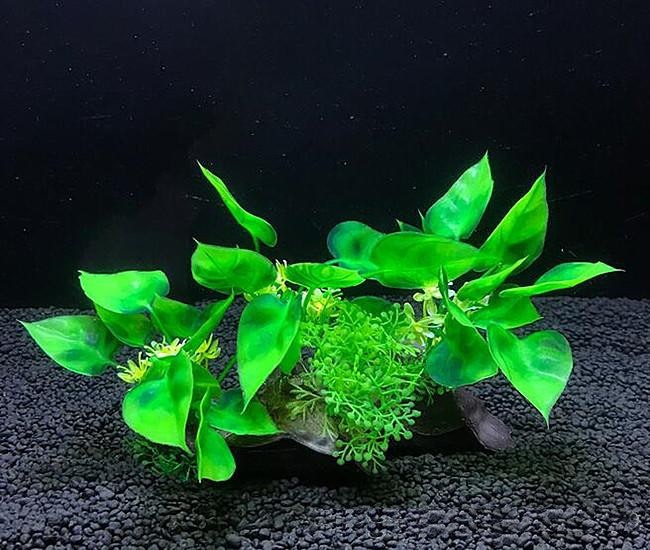 Plastväxt på rot Anubias 11 cm