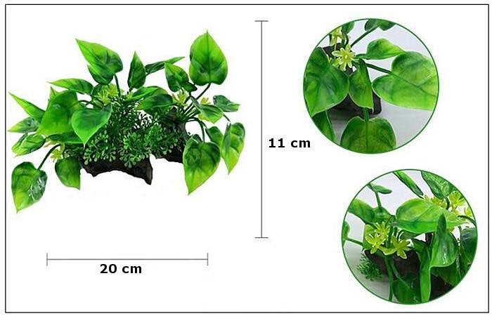 Plastväxt på rot Anubias 11 cm A