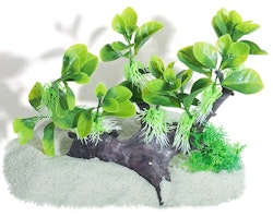 Plastväxt på rot Anubias 18 cm