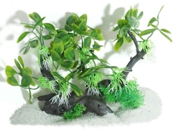 Plastväxt på rot Anubias petite 17 cm