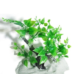 Plastväxt på Rot Anubias 30 cm
