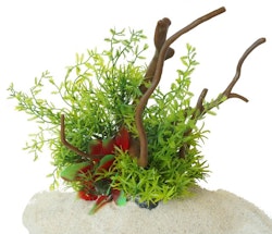 Plastväxt på rot Petite leaves 22 cm