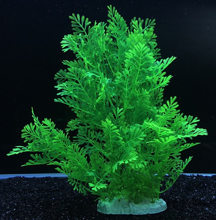 Plastväxt Difformis 27 cm