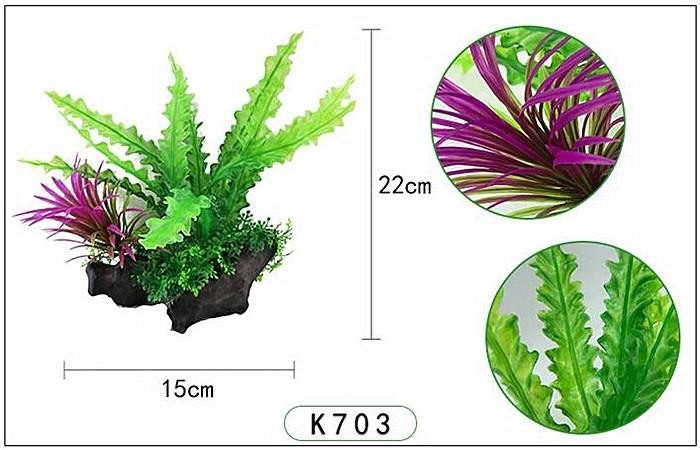 Plastväxt på rot Cryptocoryne 21 cm A