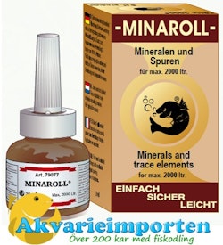 eSHa MINAROLL