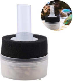 Box filter med filtersvamp och pimpsten - mini