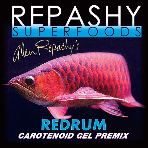 Repashy Red Rum 85 g A