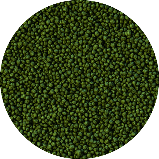 HERBIVORE - small pellet 1000 ml B