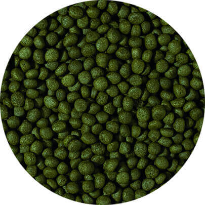 HERBIVORE - medium pellet 1000 ml B