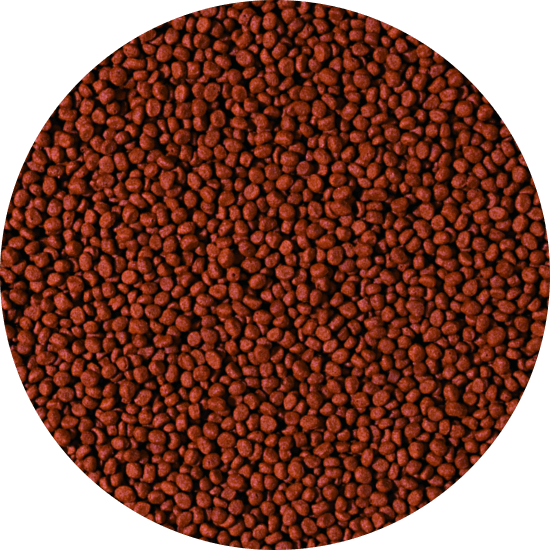 CARNIVORE - small pellet 10 liter B