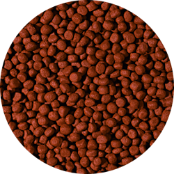 CARNIVORE - medium pellet 1000 ml